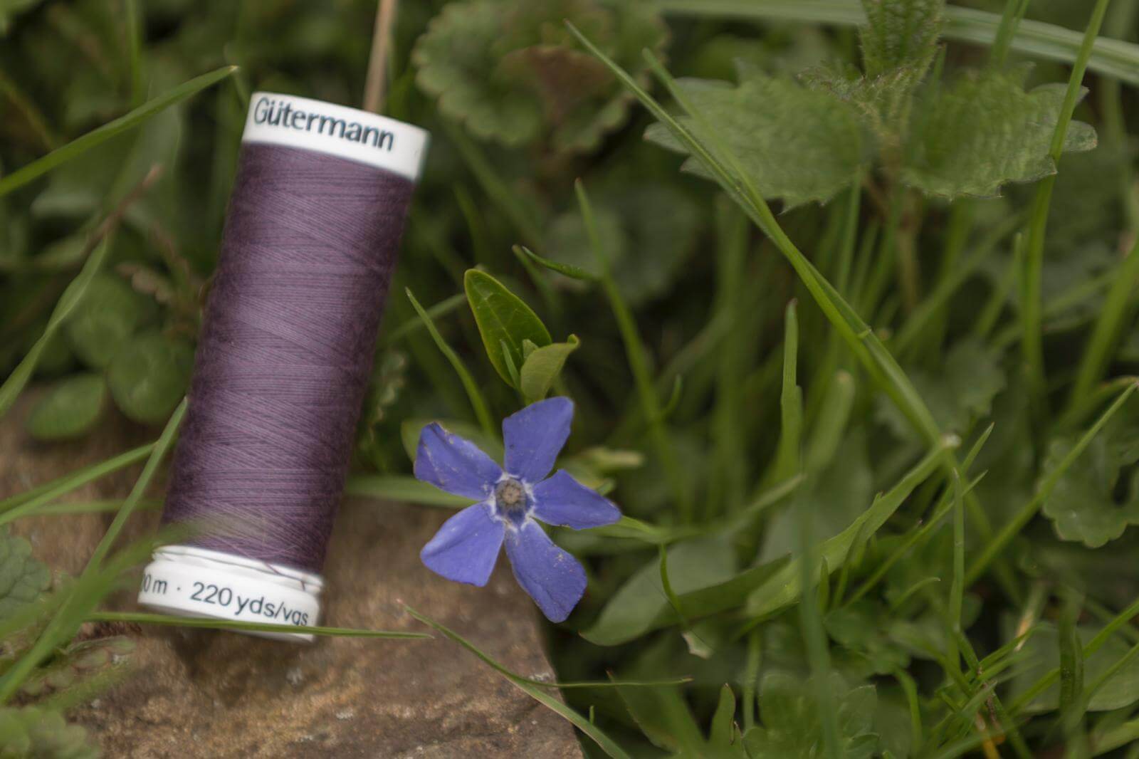 gütermann-allesnäher-brombeere Gütermann Allesnäher brombeere
