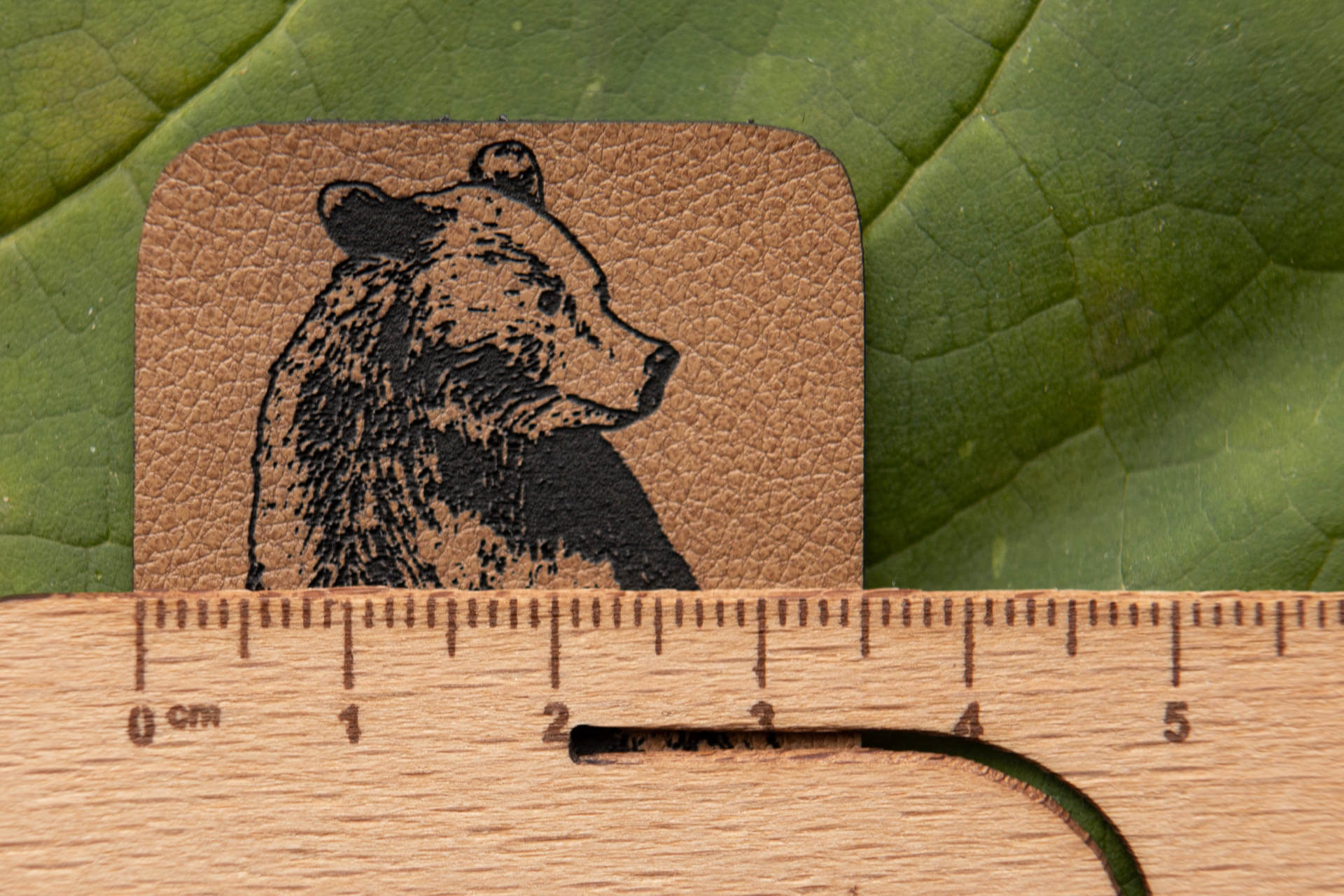 Weiches Bio Label zum Aufnähen Bärenpapa Detailansicht
