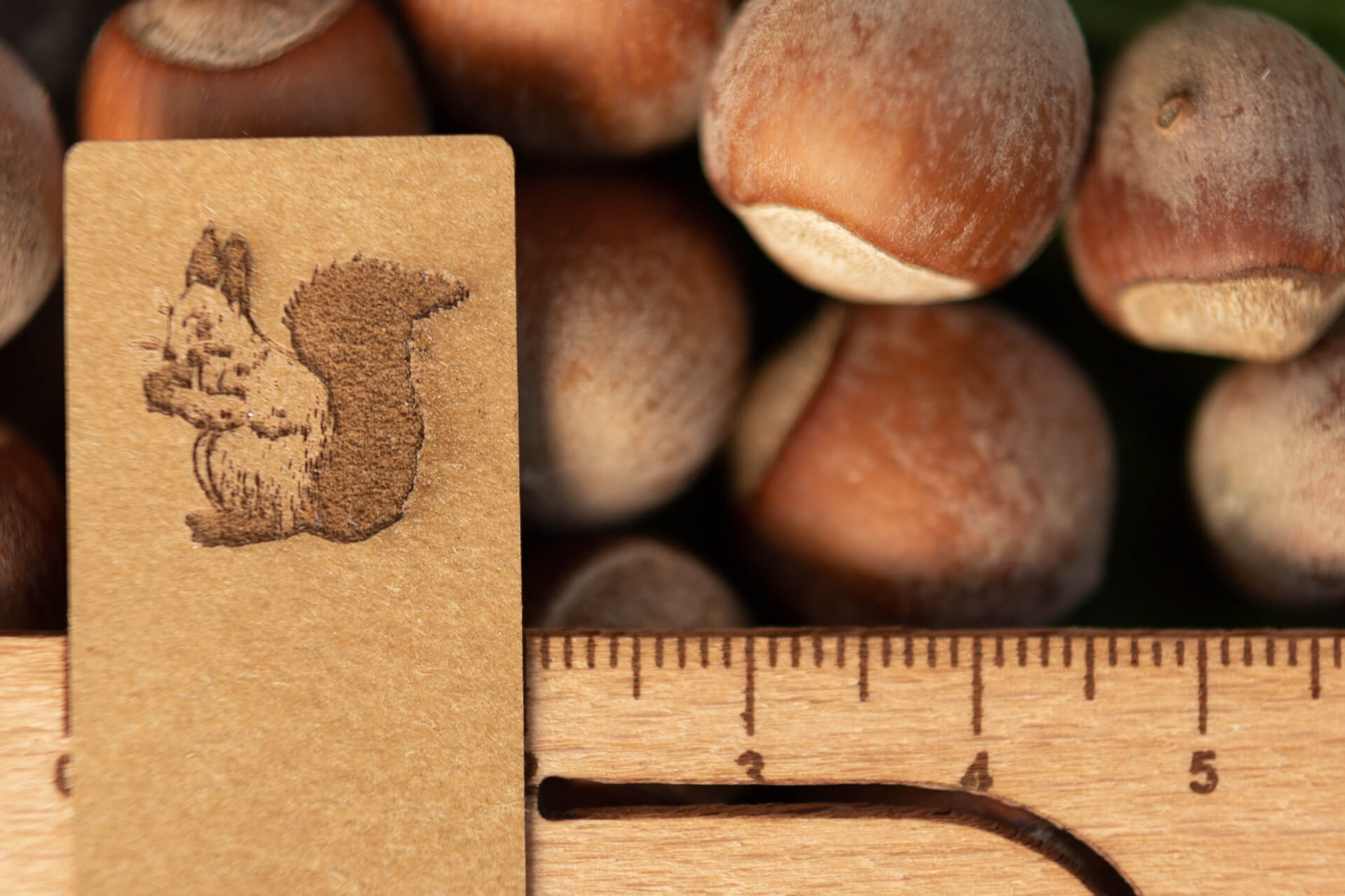 Bio Label zum Aufnähen Eichhörnchen Detailansicht